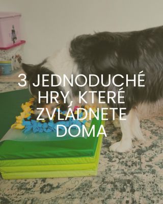 Hersenwerk nemusí být složitý. Stačí pár pamlsků a běžné věci z domu 🧺 Ručníkovka – ideální na rozjezd 📦 Krabicová výzva –...