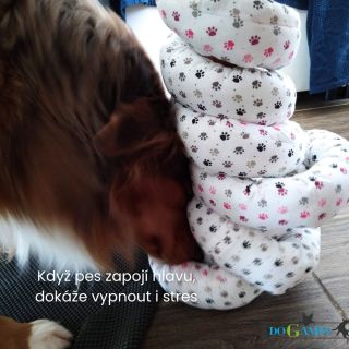 Během lekcí Hersenwerku vidím u psů jednu věc pořád dokola: nemusí běhat kilometry, aby si odpočinuli — někdy stačí...