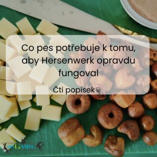 Možná Váš pes Hersenwerk miluje… ale nefunguje tak, jak by měl 🤔 Aby měl opravdu přínos, pes k němu potřebuje správné...