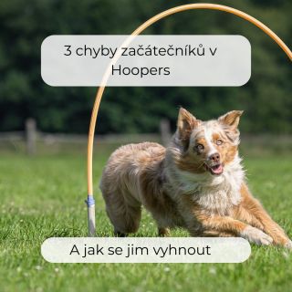 Začínáte s Hoopers nebo o něm teprve uvažujete? Tady jsou 3 chyby, které vídám nejčastěji – a které se dají snadno vyřešit...